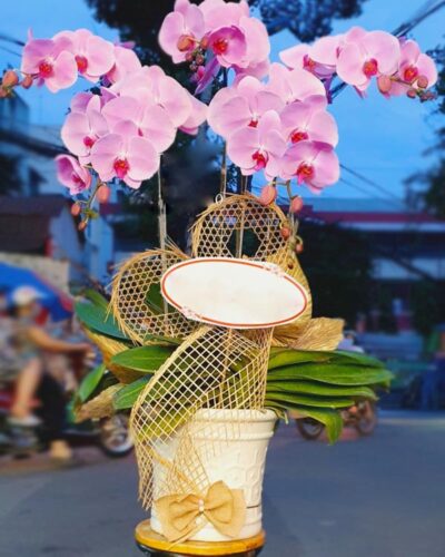 An Nhiên 001