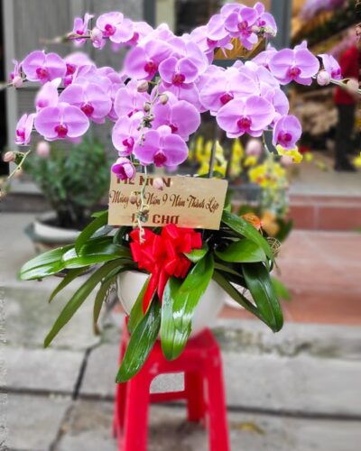 Tài lộc 02