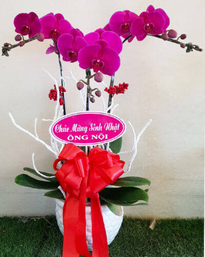Mộng mơ 01