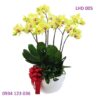 Phát tài phát lộc LHD004