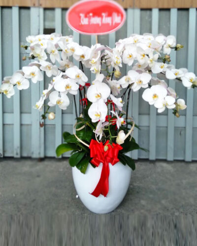 Uyên ương hồ điệp 01