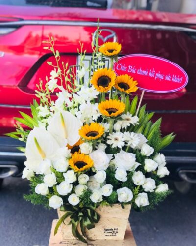 Hoa-tang-sinh-nhat (14)