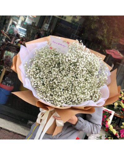 bo-hoa-baby-trang (2)