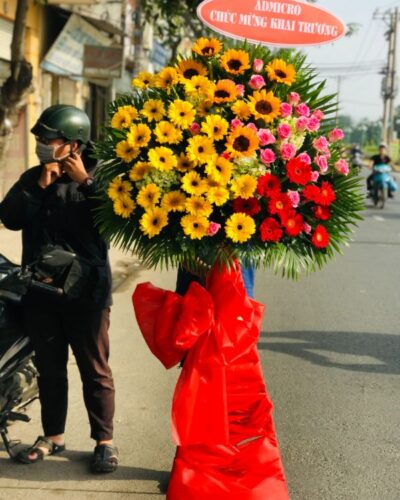 hoa-khai-truong (12)