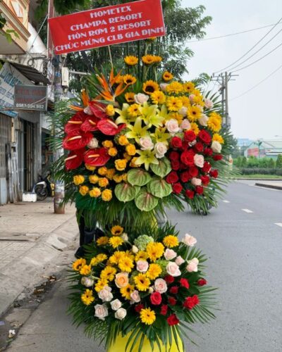hoa-khai-truong-2-tang (3)
