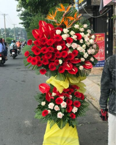 hoa-khai-truong (3)
