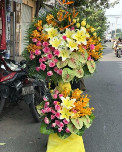hoa-mung-khai-truong (6)