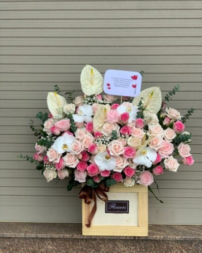 hoa-sinh-nhat-dep (7)