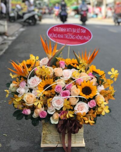 hoa-sinh-nhat-gia-re (10)