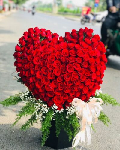 hoa-sinh-nhat-hinh-trai-tim