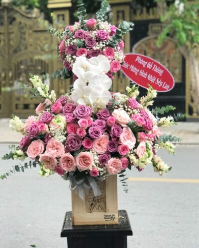 hoa-sinh-nhat-sang-chanh (1)