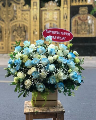 hoa-sinh-nhat-sang-chanh (11)