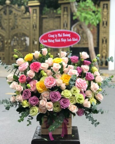 hoa-sinh-nhat-sang-chanh (2)