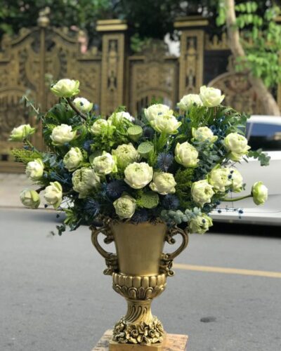 hoa-sinh-nhat-sang-chanh (3)