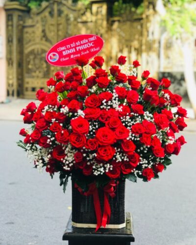 hoa-sinh-nhat-sang-chanh (6)