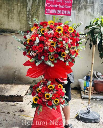Hoa Khai Truong Mau Do.jpg