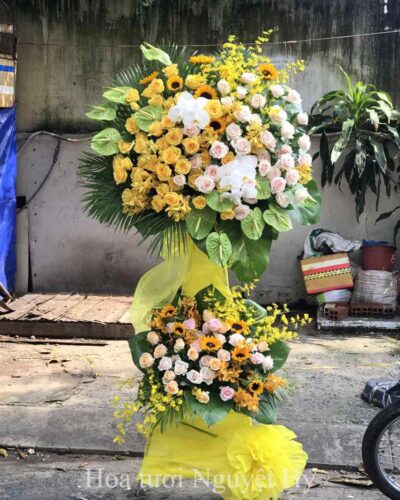 Hoa Mung Tat Nien 52.jpg