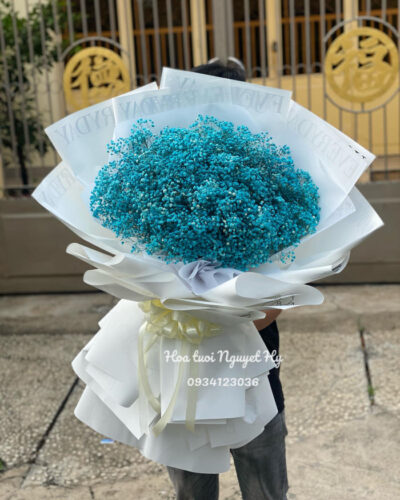 Bo Hoa Baby 0101