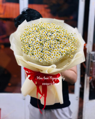 Bo Hoa Cuc Tana 11