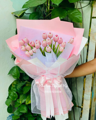 Bo Hoa Tulip Dep (2)