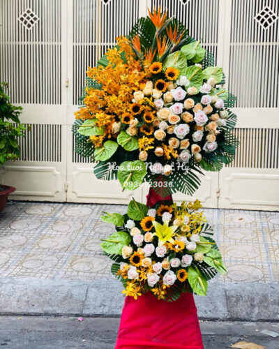 Hoa Khai Truong Dep Co Dien 11