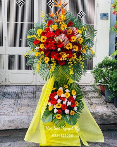 Hoa Khai Truong Quan 10 1111