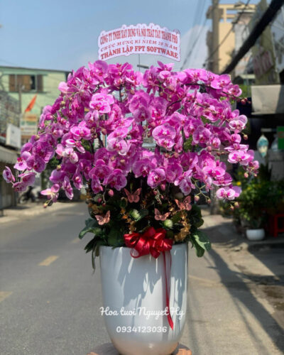Lan Ho Diep Dep Sai Gon 23858.jpg