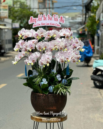 Lan Ho Diep Dep Sai Gon 29482.jpg
