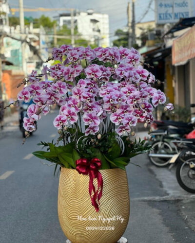 Lan Ho Diep Dep Sai Gon 543958.jpg