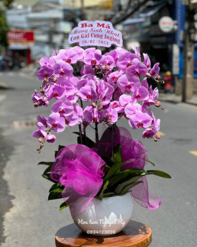 Lan Ho Diep Gia Re .jpg