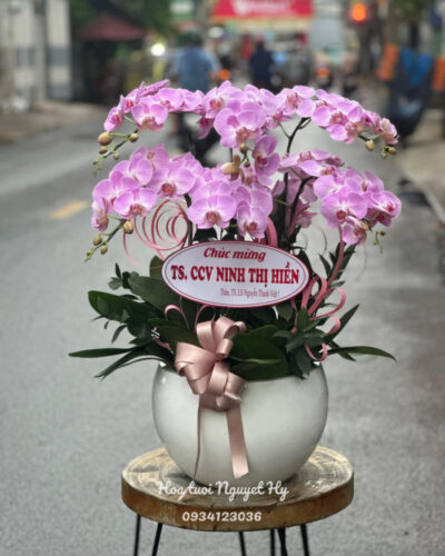 Lan Ho Diep Gia Re 234234.jpg