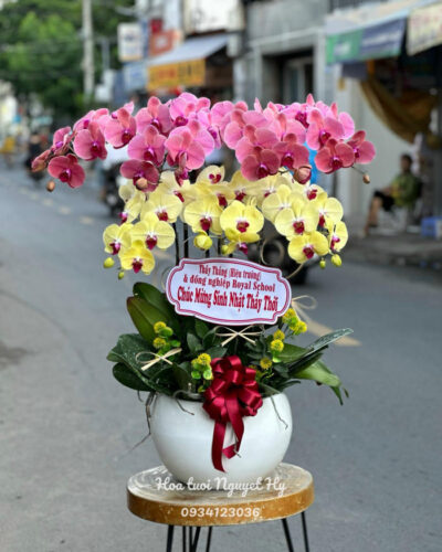 Lan Ho Diep Gia Re 355.jpg
