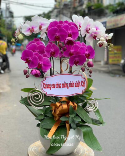 Lan Ho Diep Gia Re 4546.jpg