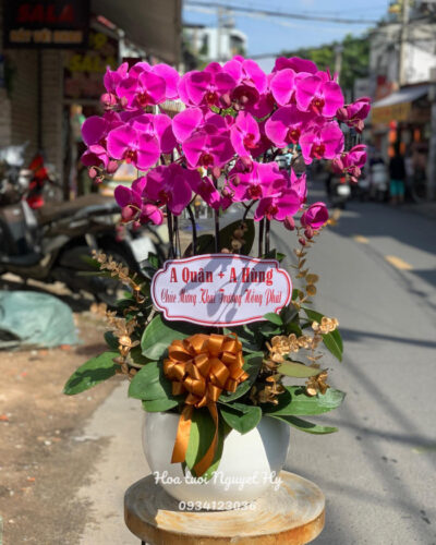 Lan Ho Diep Gia Re 656666.jpg
