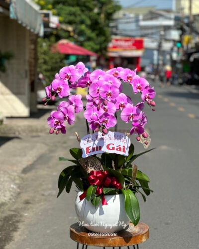 Lan Ho Diep Gia Re 6666.jpg