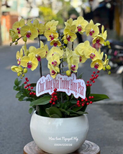 Lan Ho Diep Gia Re Sai Gon 777.jpg