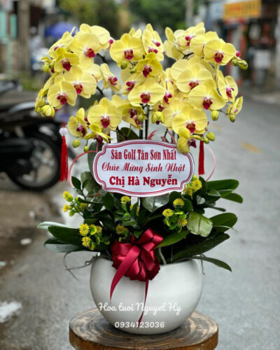 Lan Ho Diep Quan 6 2222 2.jpg