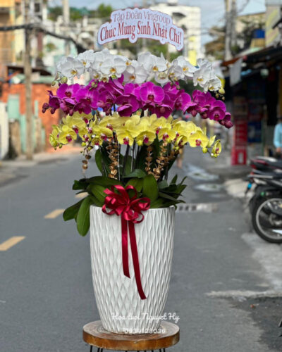 Lan Ho Diep Quan Binh Tan 3434.jpg