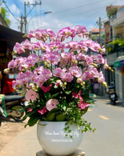 Lan Ho Diep Sai Gon.jpg