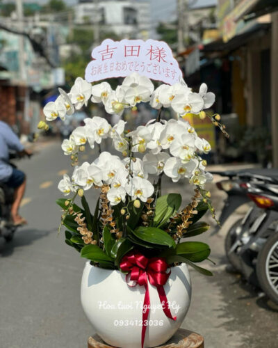 Lan Ho Diep Tan Binh 5656.jpg