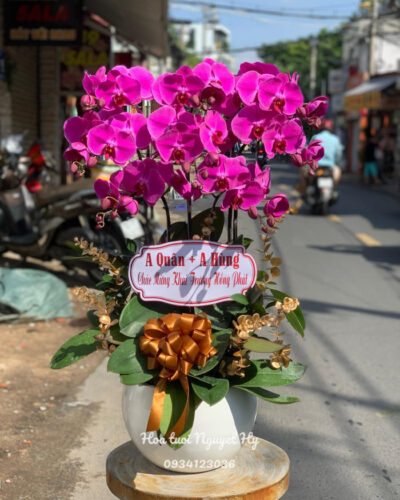 Lan Ho Diep Tan Phu 385475.jpg