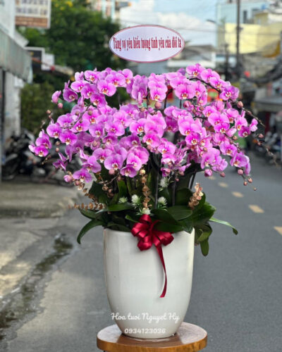 Lan Ho Diep Tphcm 666.jpg