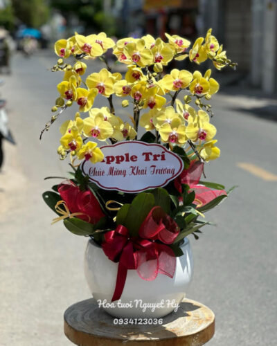 Lan Ho Diep Vang 8 Canh.jpg